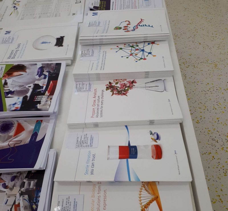 Eksperimentalni Pristup U Proteomici Biocentar 2 800x740