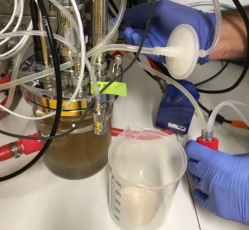 Uvod U Bioprocesno Inženjerstvo 1 800x740
