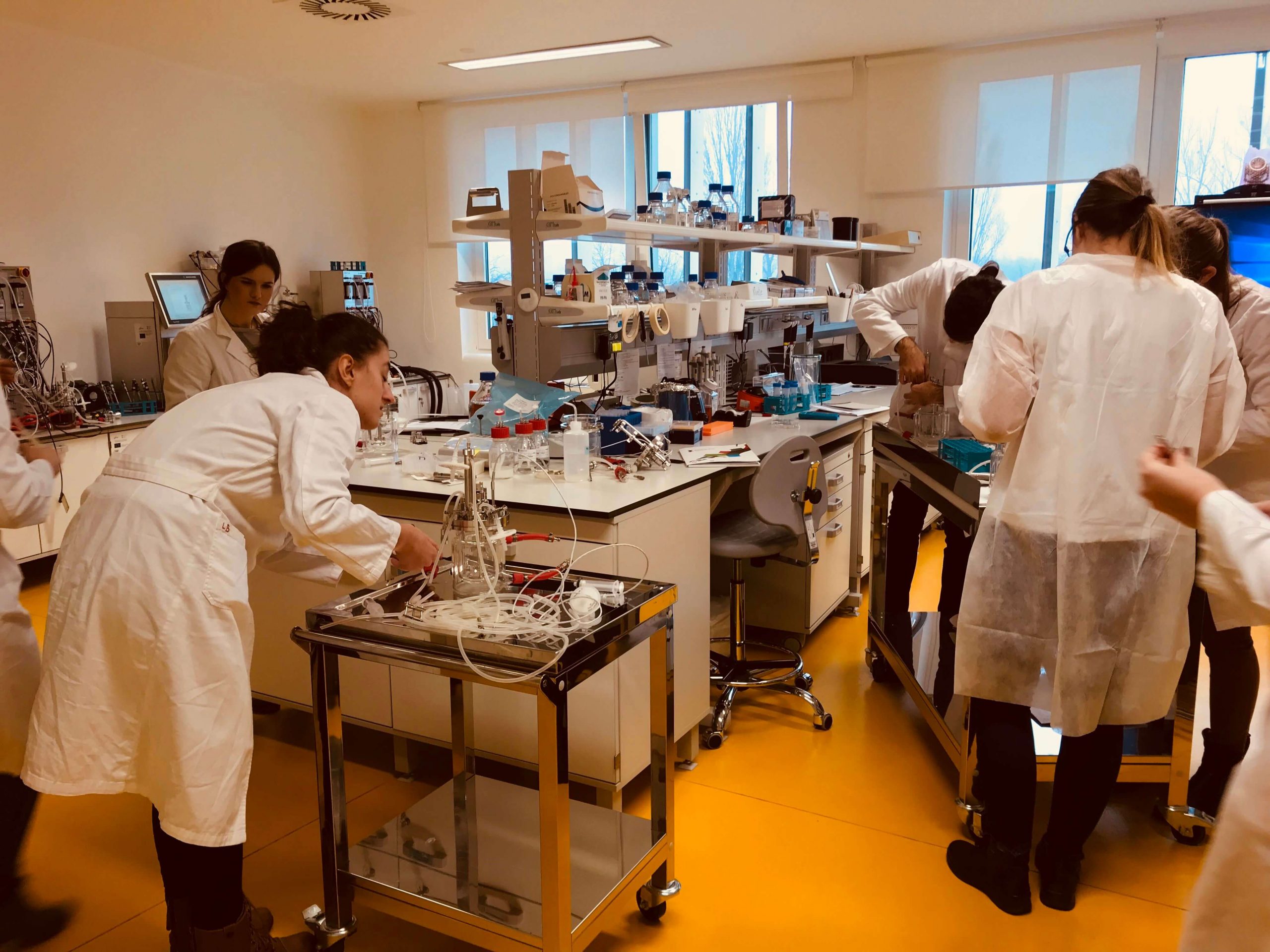 Uvod U Bioprocesno Inženjerstvo 2 Scaled