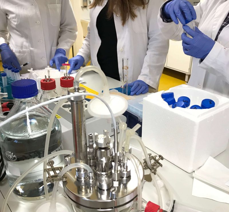 Uvod U Bioprocesno Inzenjerstvo 800x740