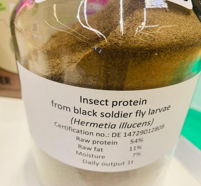Insect Protein 800x740