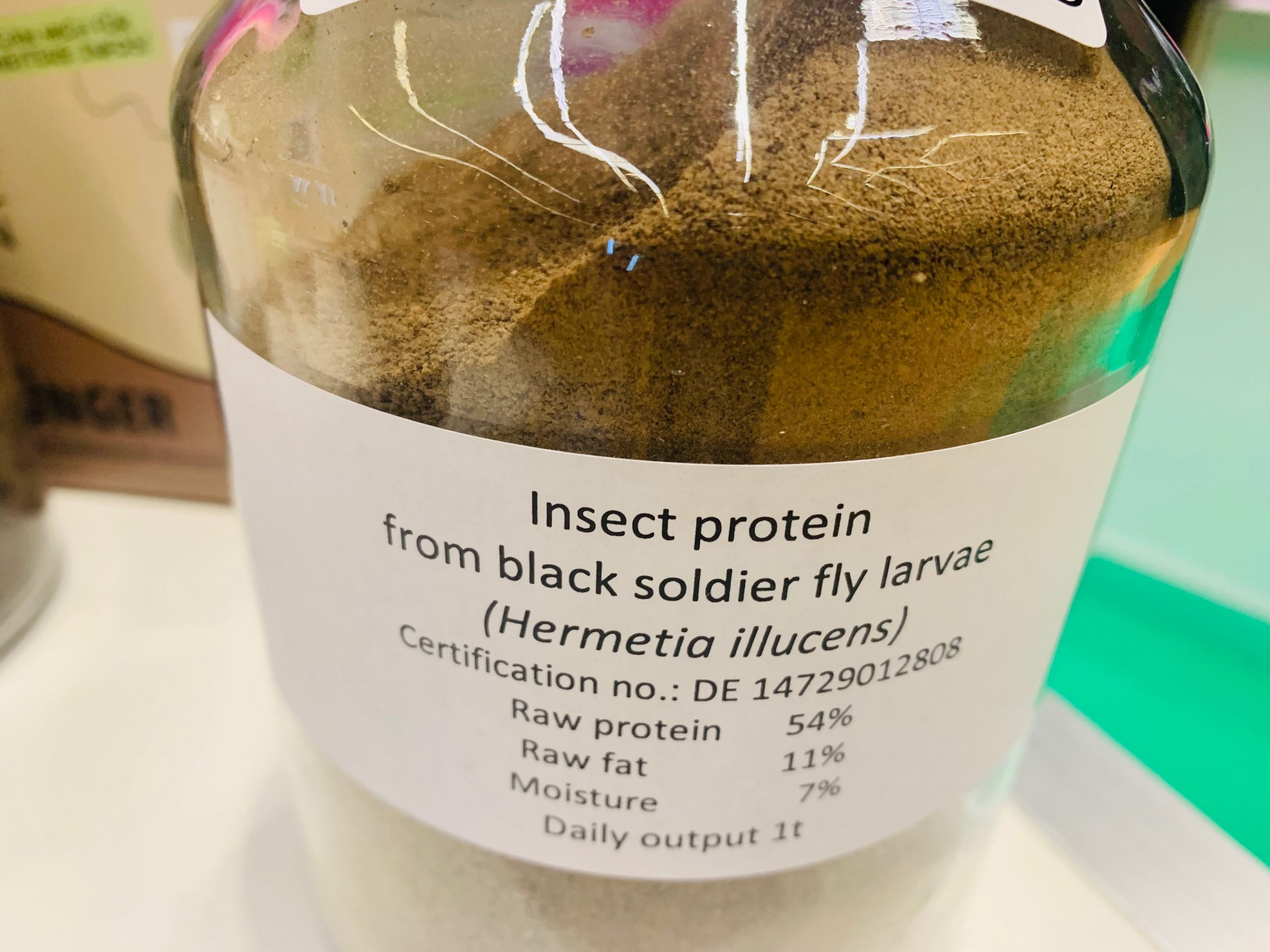 Insect Protein Scaled